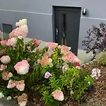 Wohlfuehloase Berlin 2 Schlafzimmer Berlin