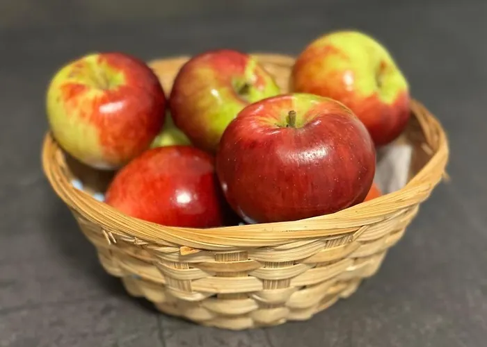 Wohlfuehloase Berlin 2 Schlafzimmer Lejlighed