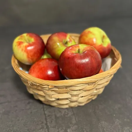 Wohlfuehloase Mahlsdorf Апартаменты